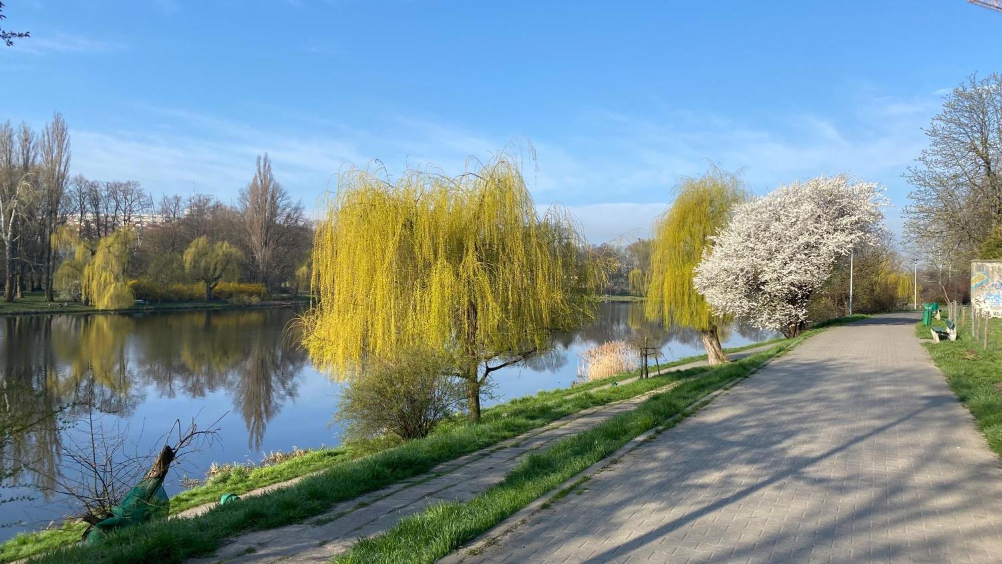 Przy Wedlu Warsaw